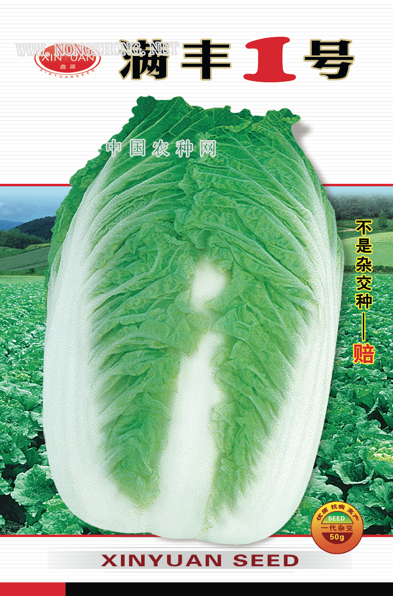 满丰1号
